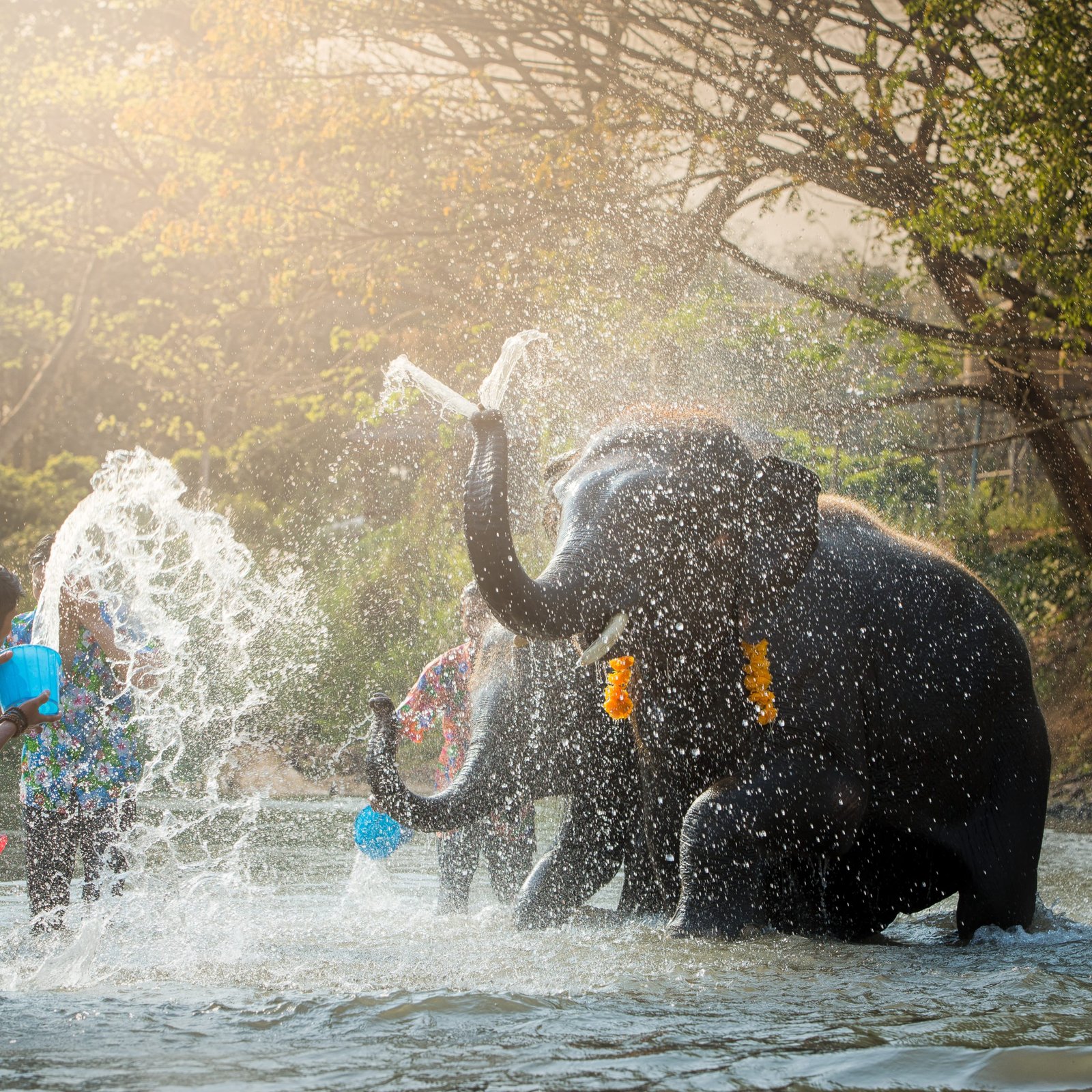 Chiang mai