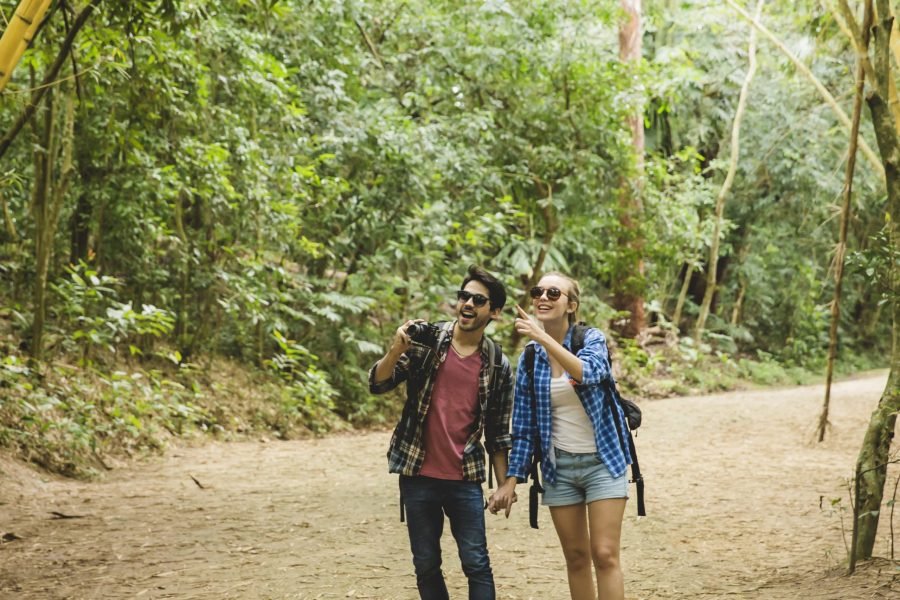 Jungle Safari Joint Tour