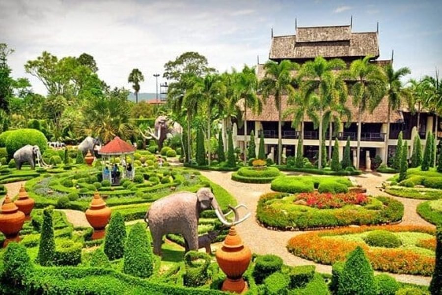 Nong Nooch Garden + Thai Culture + Elephant Show  + Lunch + Transfer
