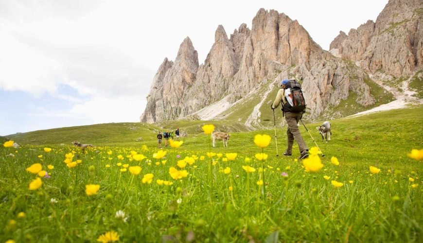 Best Hiking Trails in Northern Thailand