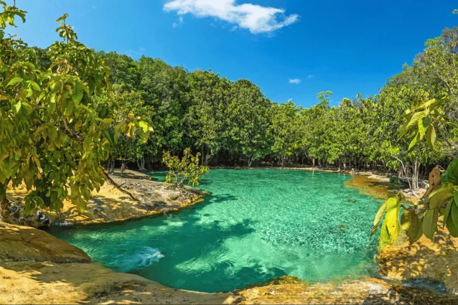 Krabi: Emerald pool tour krabi, Tiger Temple and ATV