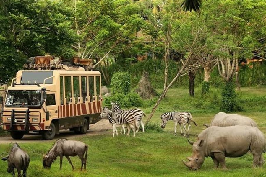 Bangkok :The Amazing Safari Journey: World of Wildlife