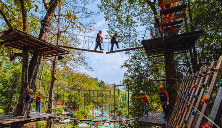 Chiang Mai :Package B:Forest Fun Experience