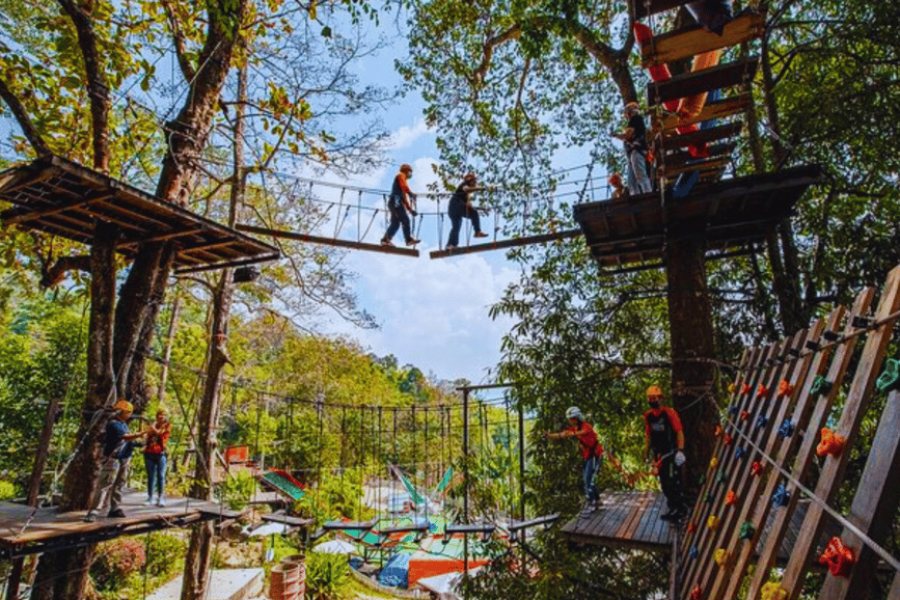 Chiang Mai :Package B:Forest Fun Experience