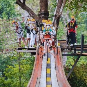 Chiang Mai: Package A – Unleash the Jungle Thrill