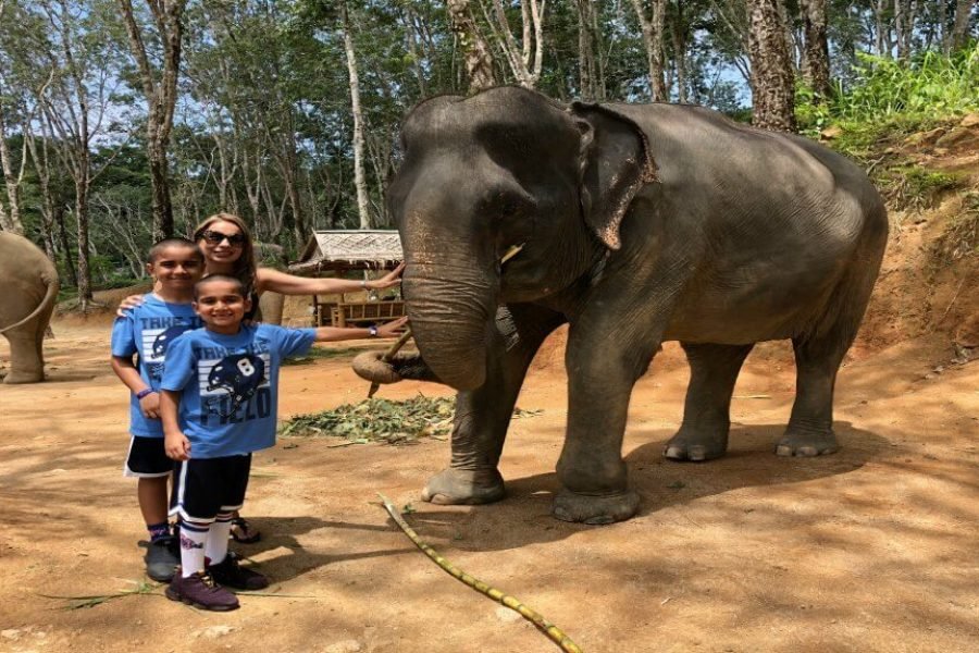 Pattaya: Jungle Sanctuary Feed the Elephants